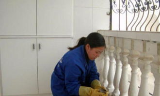 專業(yè)保潔服務(wù)全解析 從家庭到工廠，從基礎(chǔ)到精細(xì)