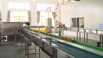 工業(yè)新觀察 我市18項工業(yè)新產(chǎn)品入圍省評，潤滑油科技項目斬獲一等獎