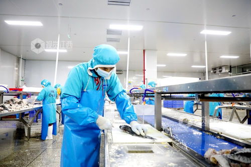 江西峽江 食品企業(yè)產(chǎn)銷兩旺，工業(yè)潤滑油科技研發(fā)并舉